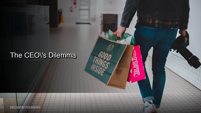 The CEO's Dilemma