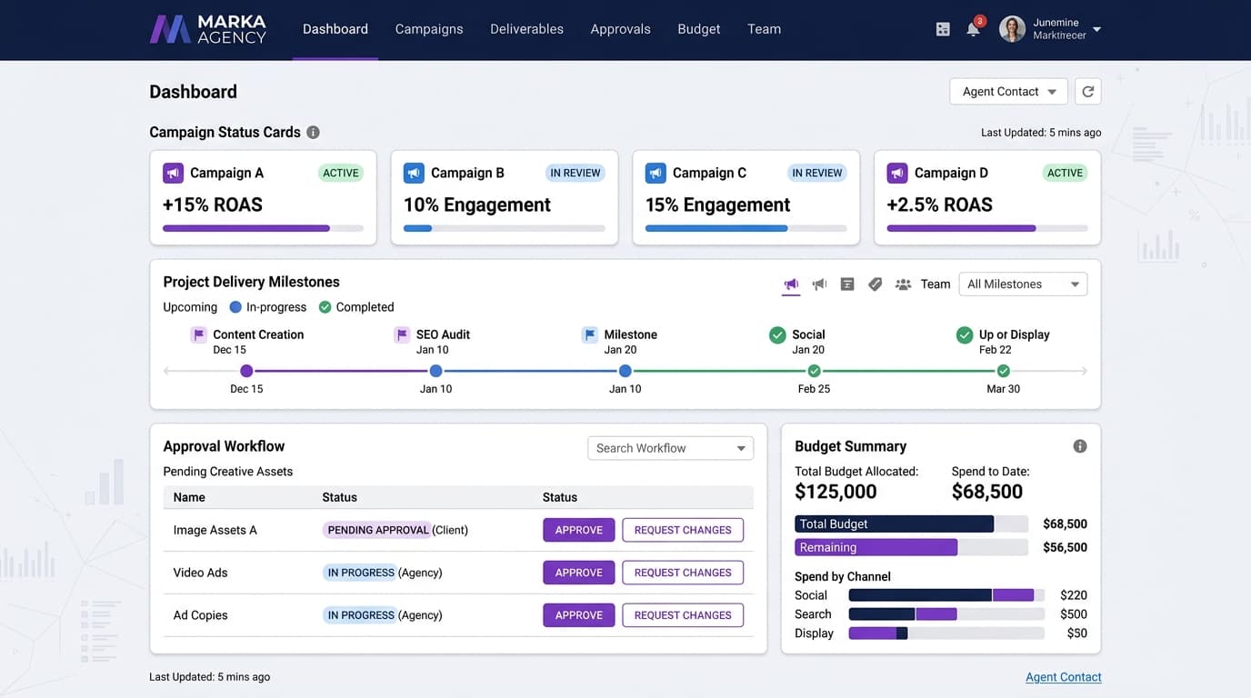 Salesforce Experience Cloud client portal: campaign status, delivery milestones, and approval workflows for agency clients