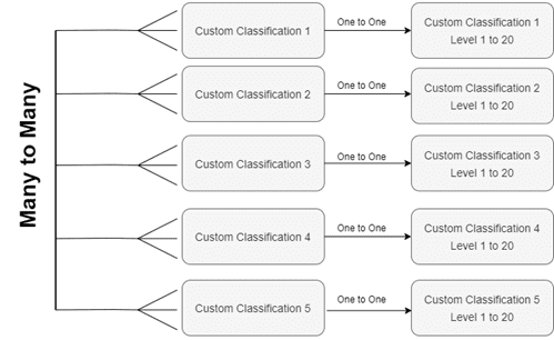 Custom Classification Many to Many