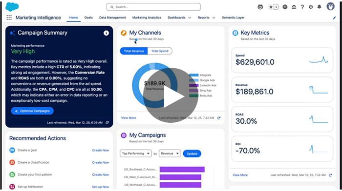 Salesforce Marketing Intelligence